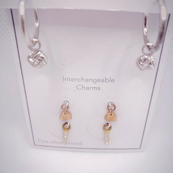 Gold and Silver Interchangeable Earrings Set with Charms - Picture 8 of 8